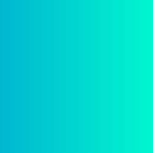 digital marketing agency tampa fl